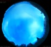 08. Jun 2026
