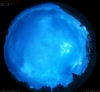 11. Jun 2026