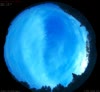 29. Jun 2026