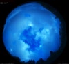 03. Jul 2026