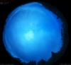 07. Jul 2026