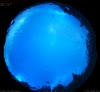 08. Jul 2026