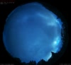 18. Jul 2026