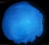 22. Jul 2026