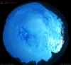 24. Jul 2026