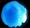 31. Jul 2026