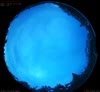 04. Aug 2026